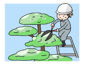 大きくなりすぎた木はどうすればいい？伐採？伐根？（2）
