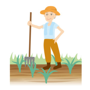 庭に畑を作りたい！DIYでも可能？プロに任せる？（2）