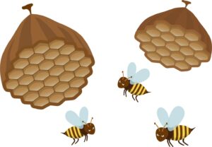 蜂の巣の駆除は素人でも可能？安全に駆除する方法は？（2）