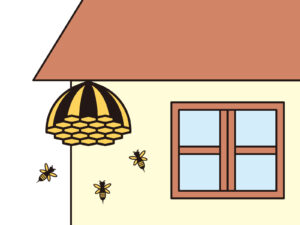 蜂の巣の駆除は素人でも可能？安全に駆除する方法は？（6）