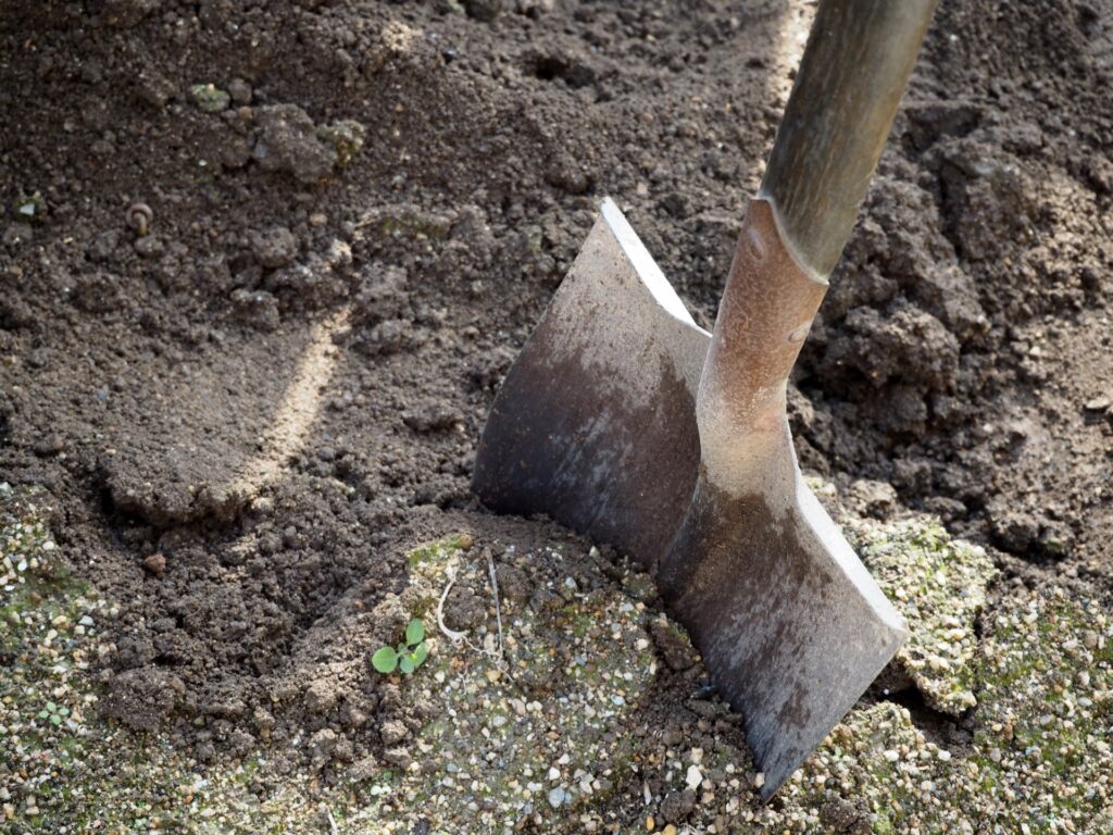 庭づくりの基本 土づくり・植え付け・植え替え・肥料のポイントをご紹介