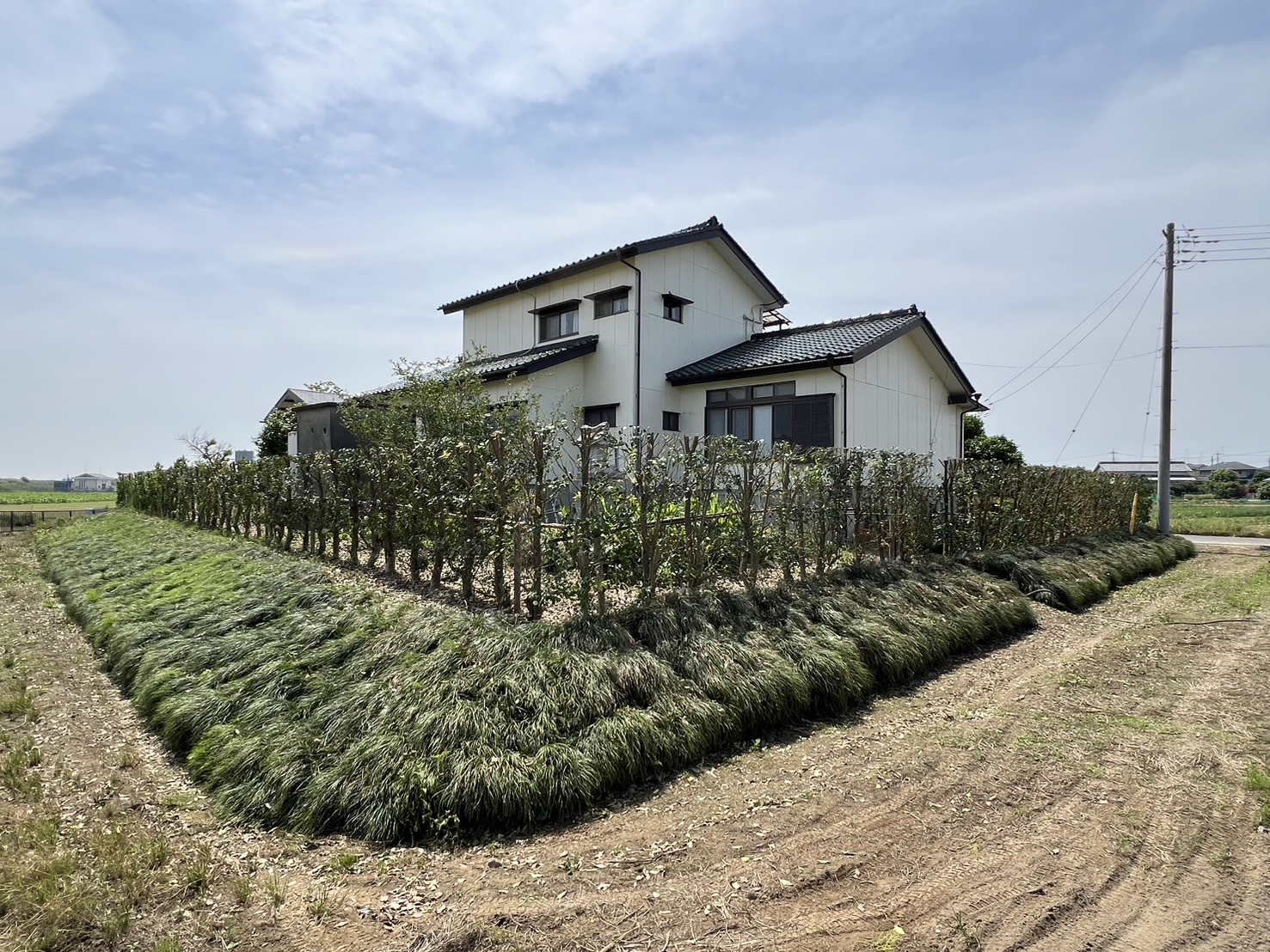 埼玉県熊谷市　N様邸　生垣の剪定を行わさせていただきました！