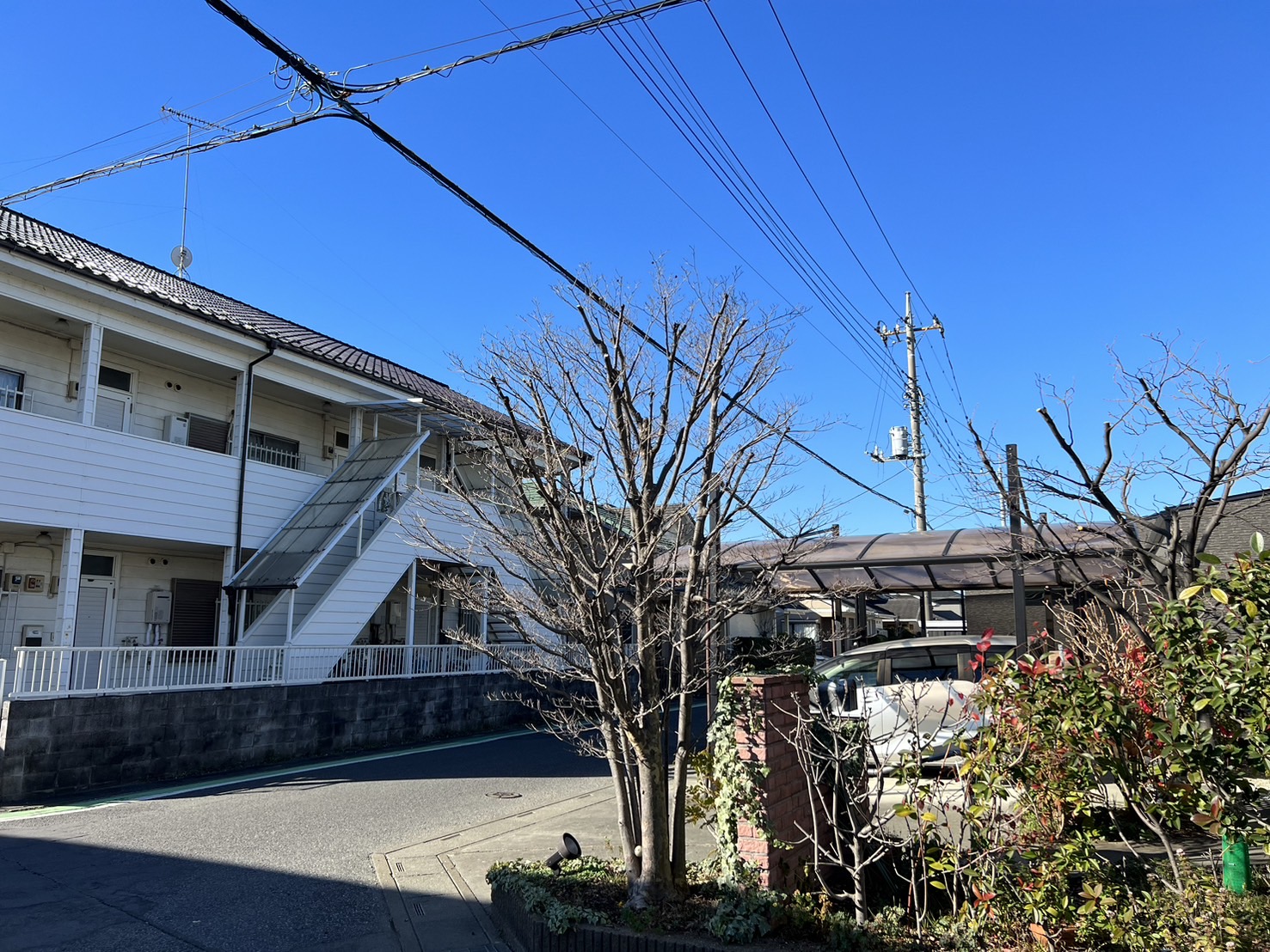 埼玉県熊谷市　H様邸｜庭木の剪定を行わさせていただきました！