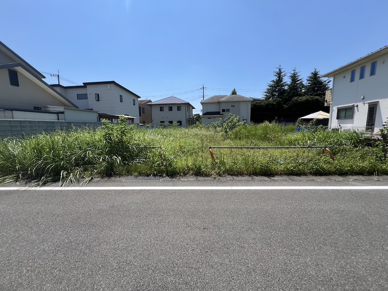 芝生が生い茂ってしまうとどんなデメリットがある?対処方法も解説します!