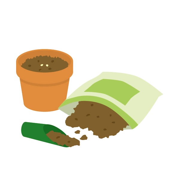 寒肥が必要な理由とおすすめの肥料をご紹介します!