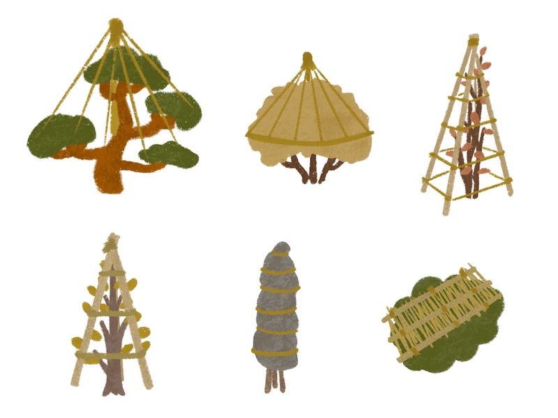 冬の庭木のお手入れ 越冬対策をご紹介します！