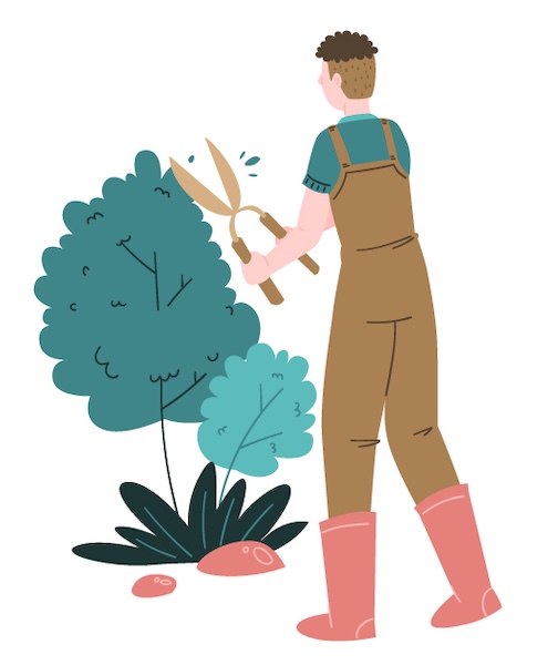 冬の庭木のお手入れ 越冬対策をご紹介します！