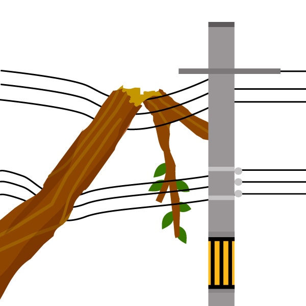 電線に近い・触れている樹木は地絡火災の危険性があります！