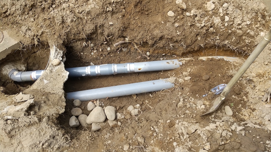 庭木の根に押されて塀や基礎が壊れる？原因や対策を解説します！