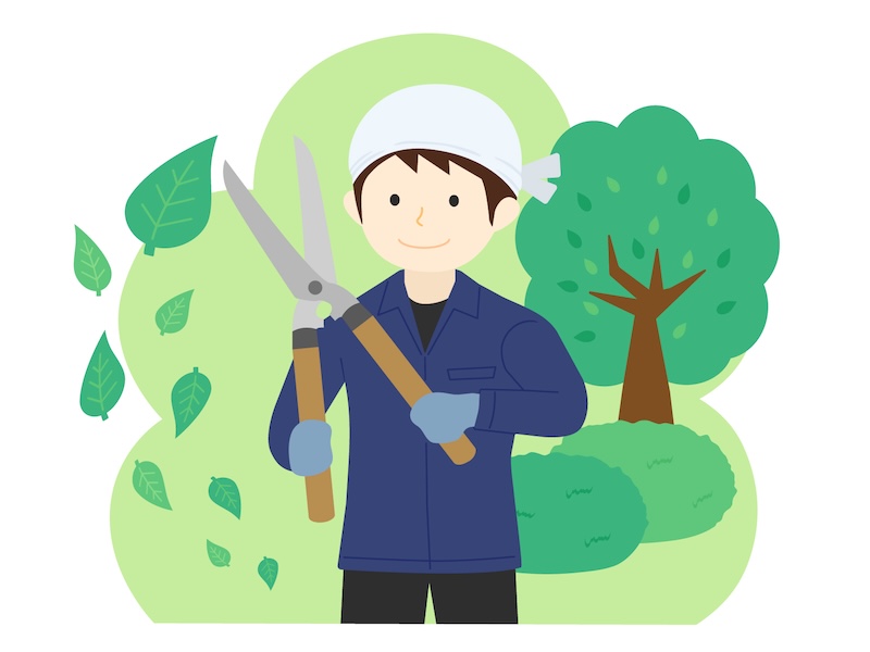 不要になった樹木はどうすればいい?植木屋が教える賢い処分方法と注意点