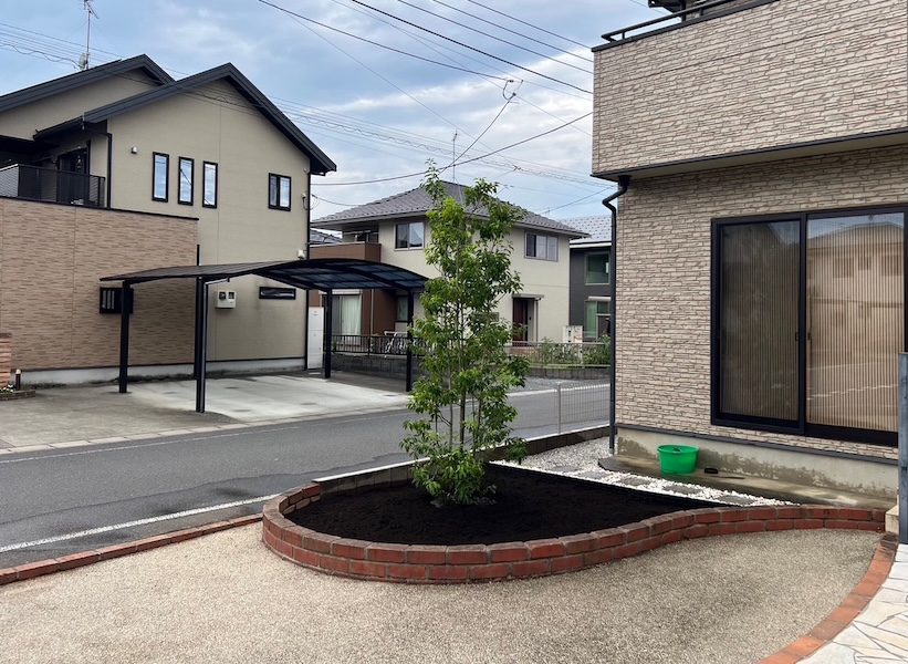 庭木が強風で折れた！焦らずに行うべき応急処置とプロに頼むべき判断基準