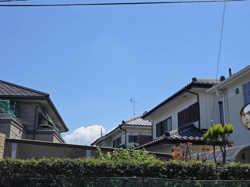 二階にまで高く伸びた樹木を伐採しました｜埼玉県熊谷市 S様邸