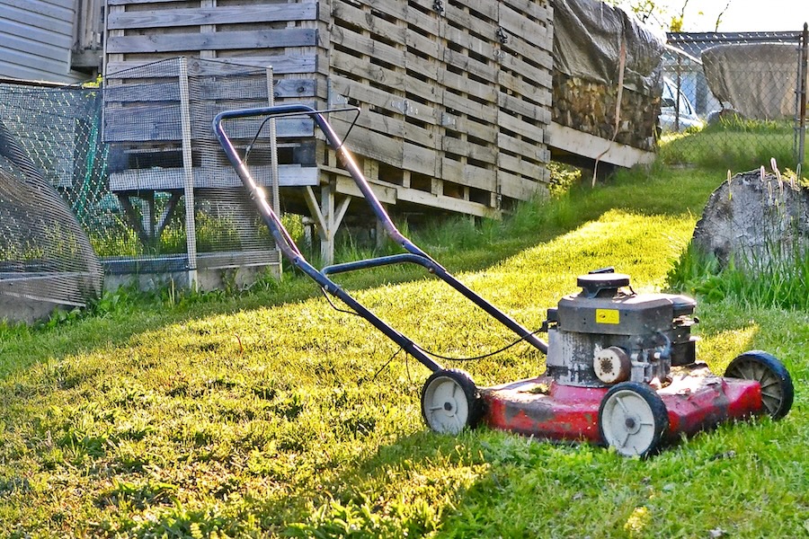 芝生を美しく保つ方法と年間メンテナンススケジュールを解説します！