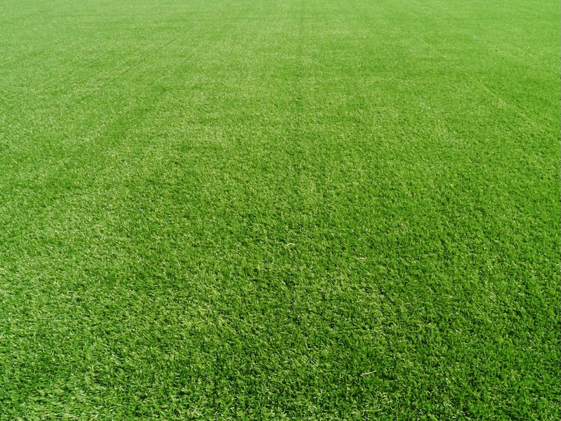 芝生を美しく保つ方法と年間メンテナンススケジュールを解説します！