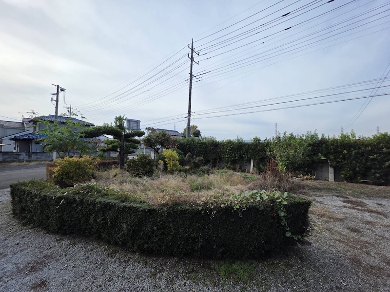 どんどん生えてくるお庭の雑草、どうしたらいい？雑草対策について解説！