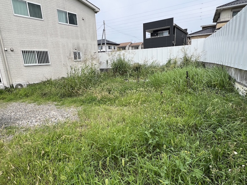 どんどん生えてくるお庭の雑草、どうしたらいい？雑草対策について解説！