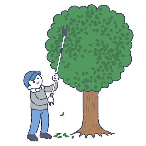 庭木・花木に大切な剪定のよくある疑問にお答えします！