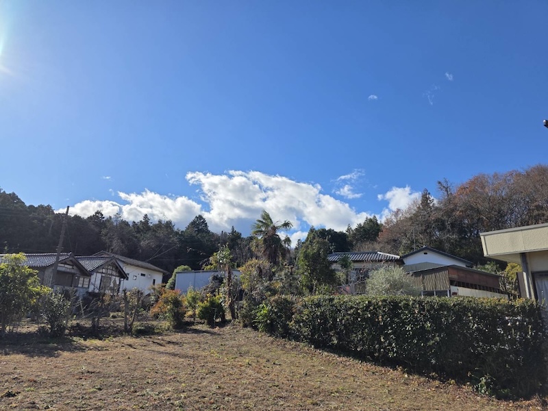 高くなった樹木の伐採を実施しました。不要な樹木は撤去のご検討を！｜埼玉県熊谷市 W様邸
