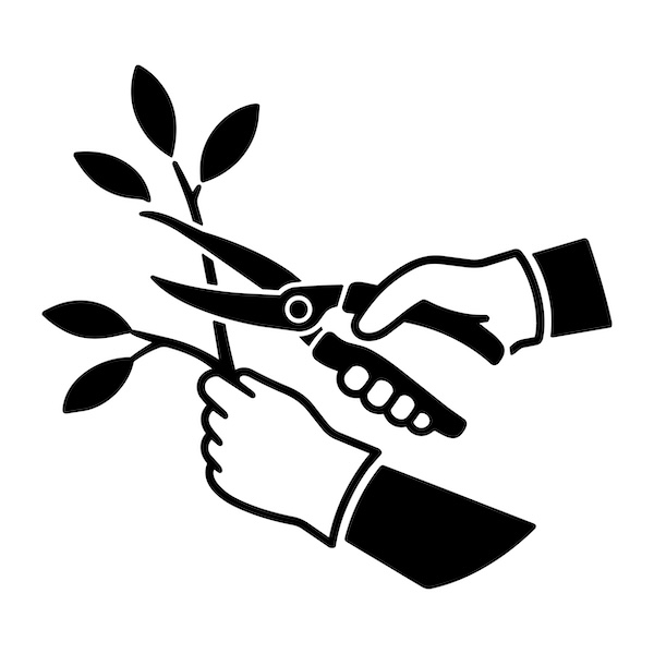 剪定で木を枯らさないために｜原因・切り口の処置・花つきをよくする方法を解説