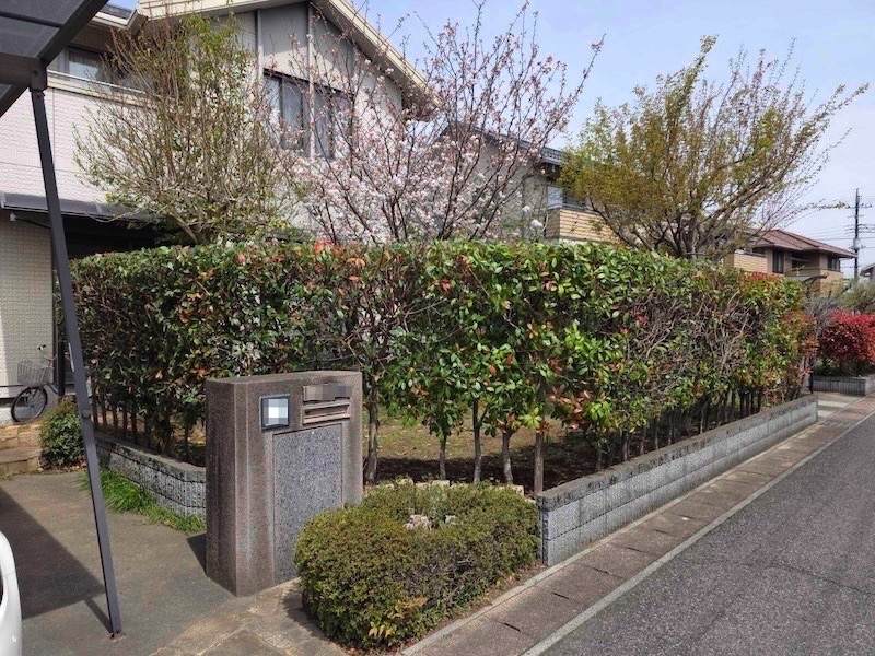生垣の剪定（レッドロビン）を実施しました！｜埼玉県熊谷市 S様邸