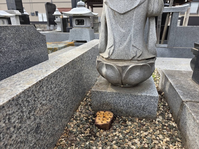 埼玉県熊谷市 F様｜樹木の伐採を実施しました